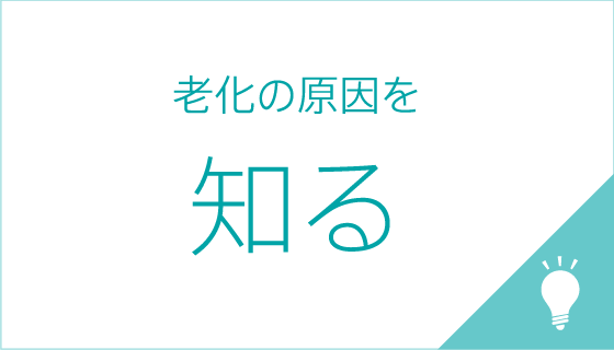 老化の原因を知る