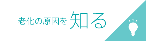 老化の原因を知る