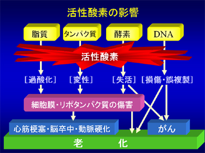 æ´»æ§é¸ç´ 