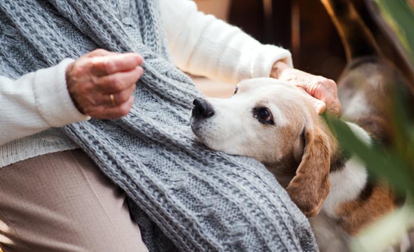 ペット犬との暮らしで寿命を延ばす