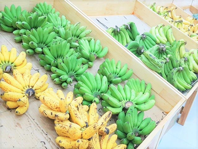 多種バナナ